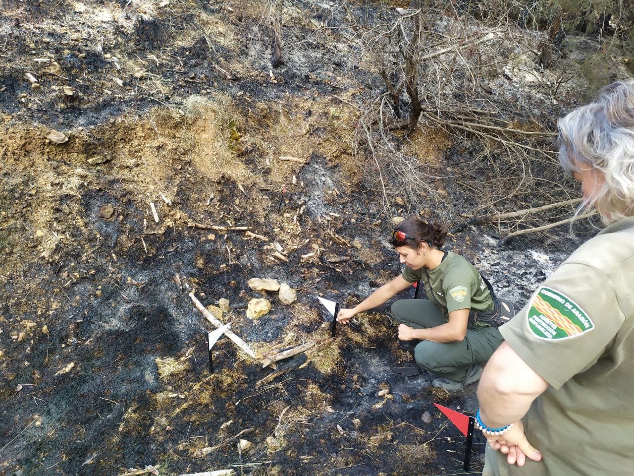 APN investigación de incendios
